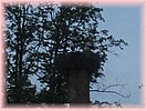 29. �erven 2005