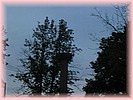 29. �erven 2005