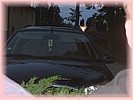 29. �erven 2005