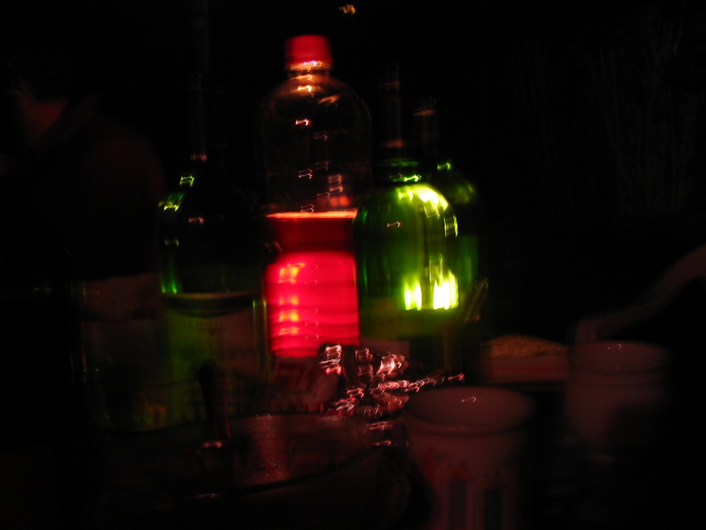 sarka11.jpg