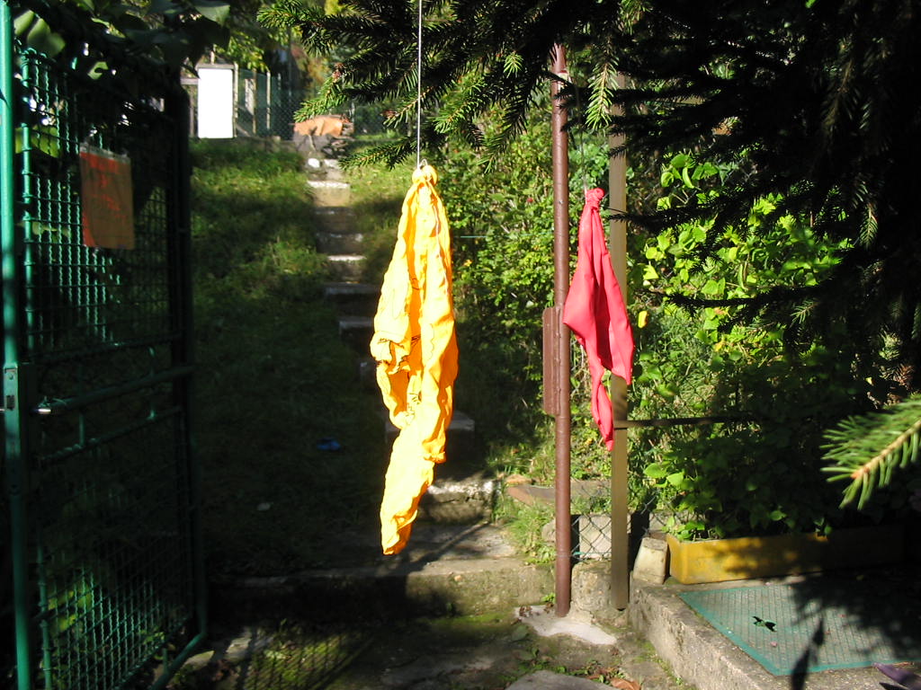 sarka46.jpg