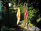 sarka46.jpg
