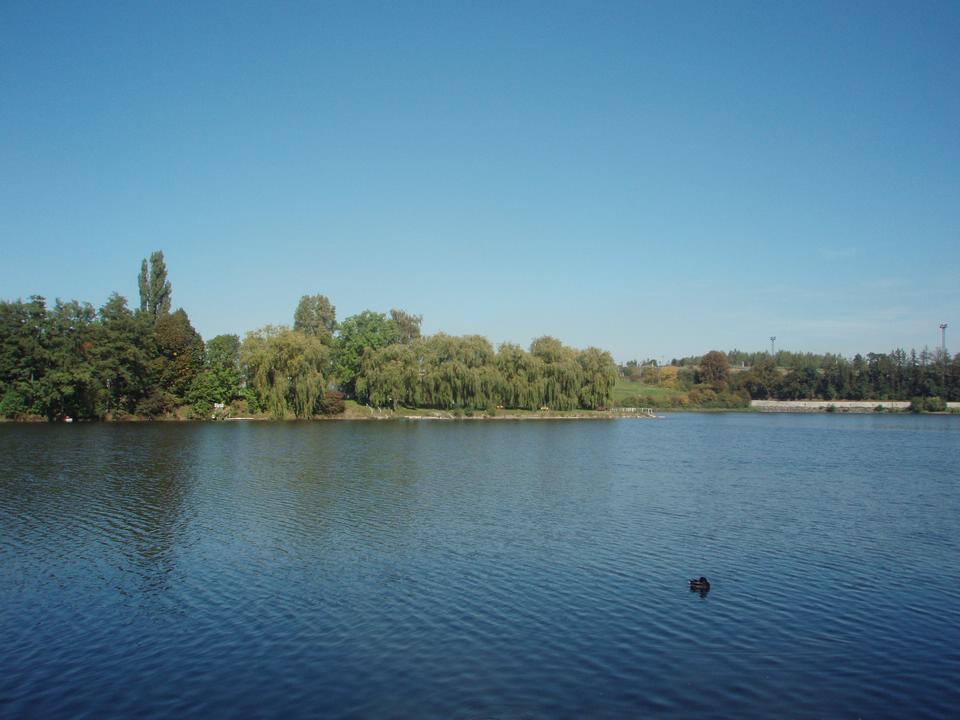 Soubor: P9211384.JPG