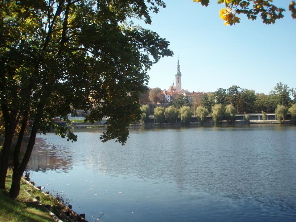 Soubor: P9211385.JPG