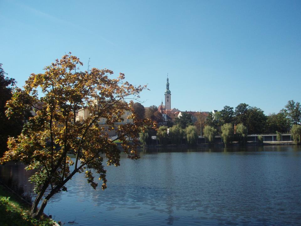 Soubor: P9211386.JPG