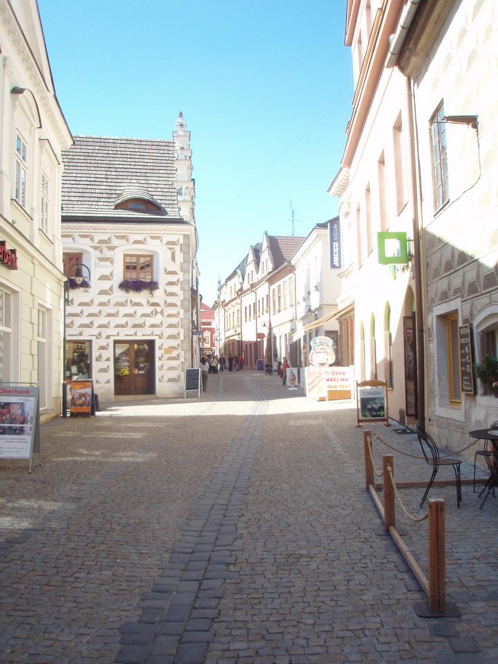 Soubor: P9211389.JPG
